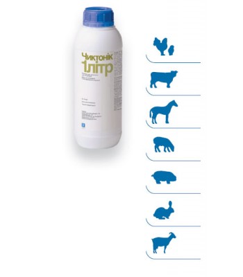 Чиктонік р.ор.