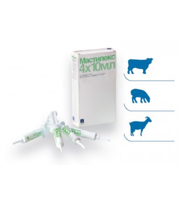 Мастилекс сусп. 10 мл