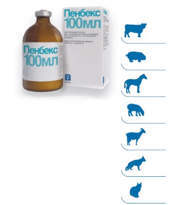 Пенбекс р.ін 100 мл