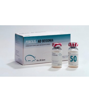 Вакцина Порцилис Бегония