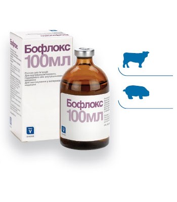 Бофлокс 100 мл