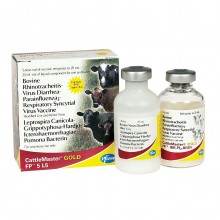 Gold vaccine Ketelmaster Gold vaccine Ketelmaster